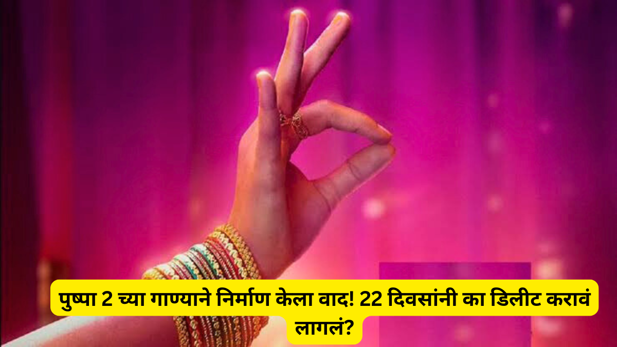 पुष्पा 2 च्या गाण्याने निर्माण केला वाद! 22 दिवसांनी का डिलीट करावं लागलं?