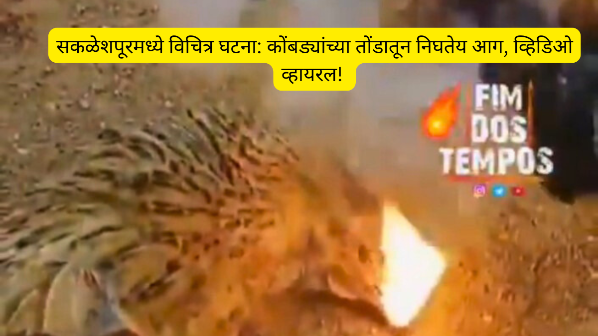 सकळेशपूरमध्ये विचित्र घटना